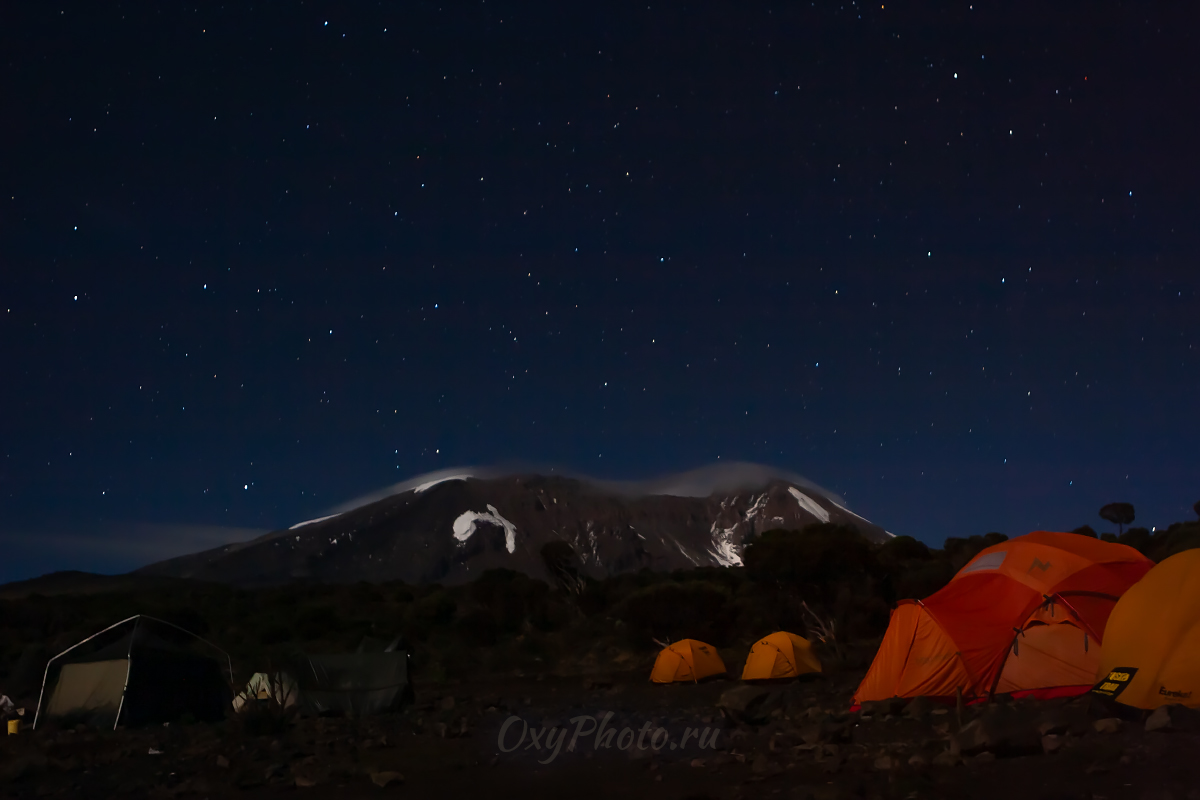 Килиманджаро
Shira Camp (3850 м)