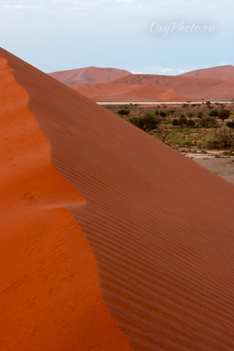 Делай РАЗ, делай ДВА!