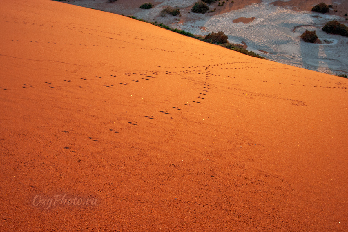 Делай РАЗ, делай ДВА!