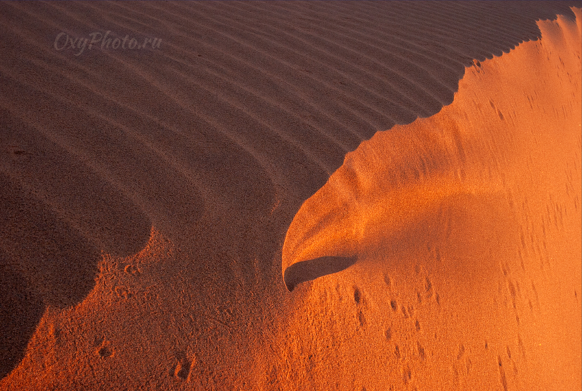 Делай РАЗ, делай ДВА!