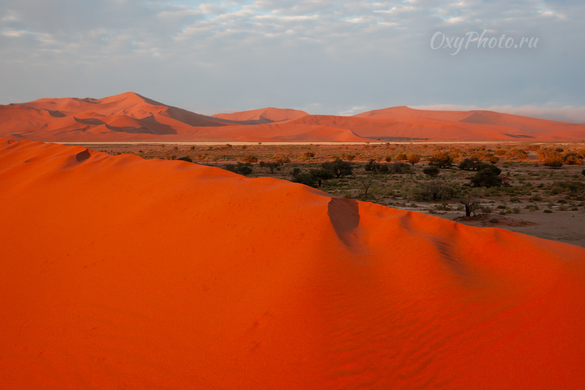 Делай РАЗ, делай ДВА!