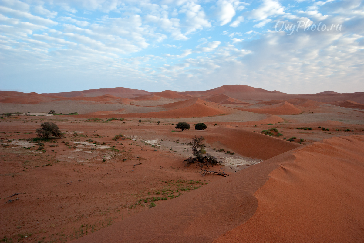 Делай РАЗ, делай ДВА!