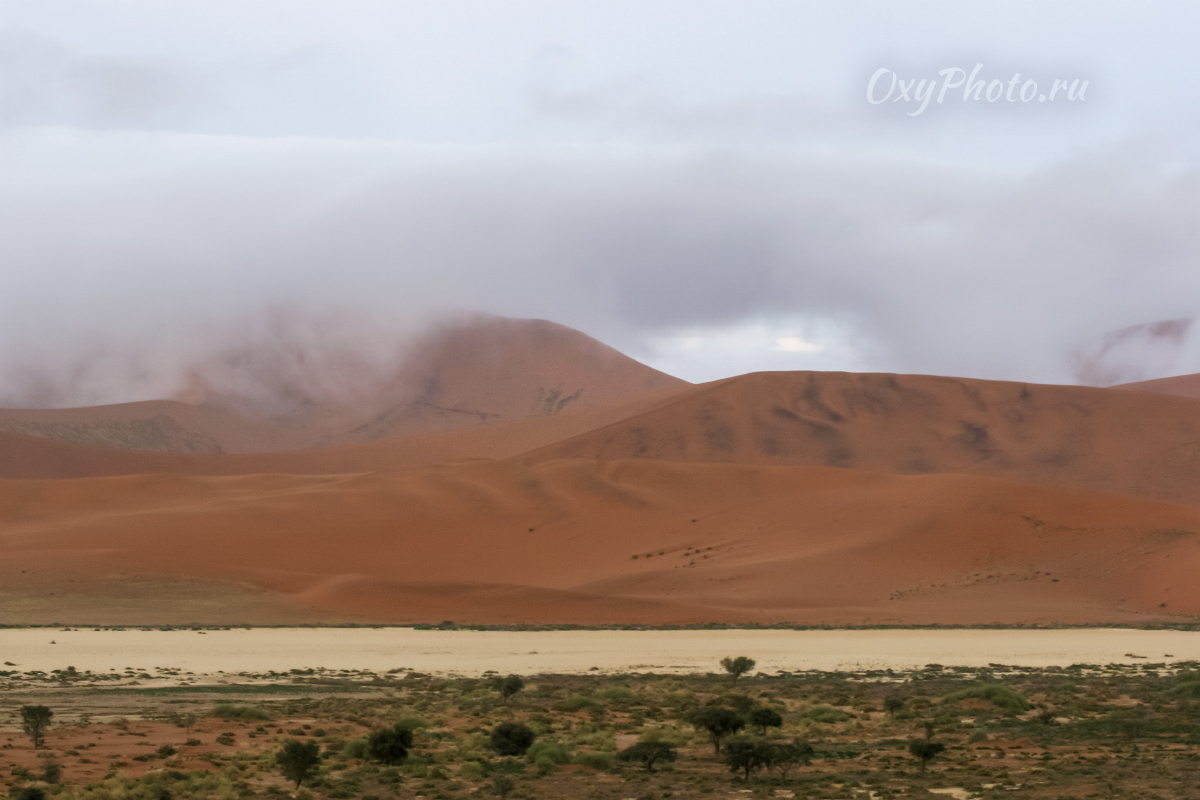 Делай РАЗ, делай ДВА!