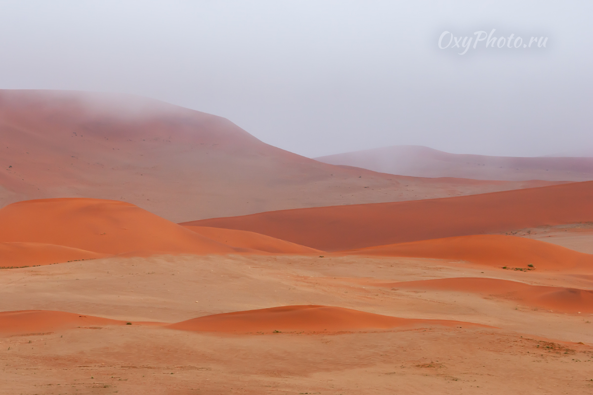 Делай РАЗ, делай ДВА!