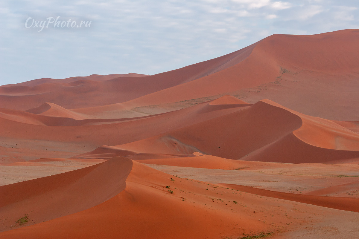Делай РАЗ, делай ДВА!