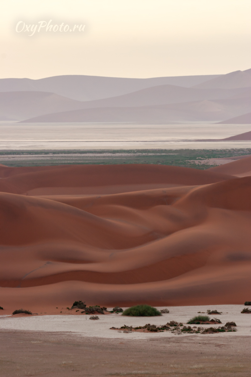 Делай РАЗ, делай ДВА!