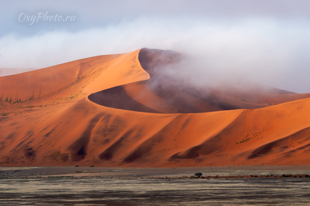 Делай РАЗ, делай ДВА!