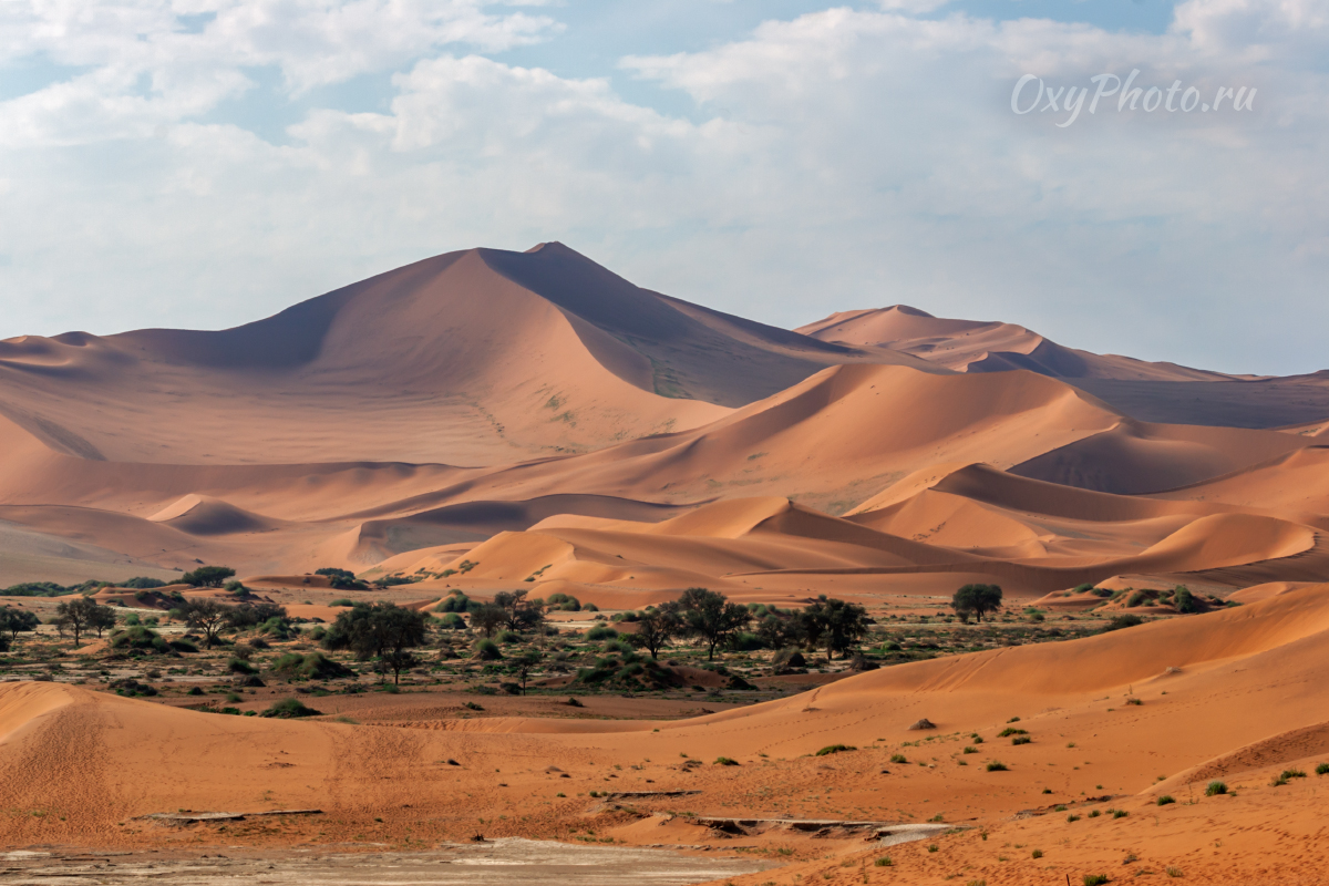 Делай РАЗ, делай ДВА!