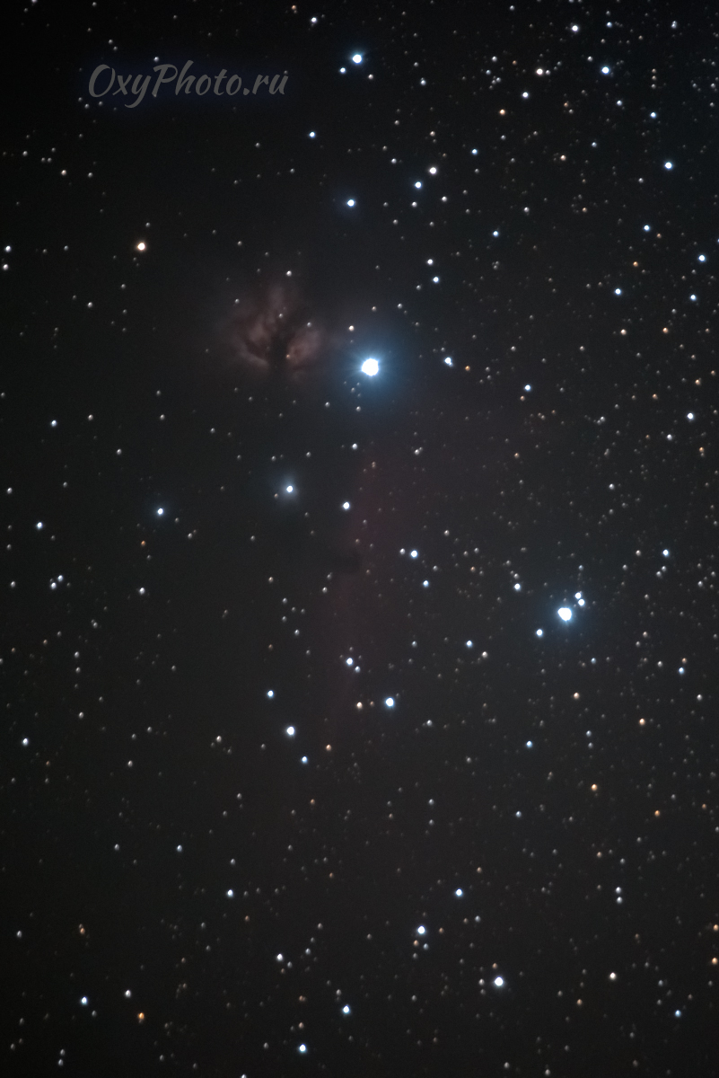 NGC 2024 и IC 434 - туманности Пламя и Конская голова